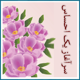 roman.irir.saraghazeyekehsas