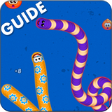 com.dynaxi.guideforwormssnake