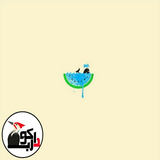 com.groupimageHd.darkoob