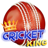 com.mobi.games.cricketking