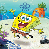 sat.bobsfanjii.hamoon