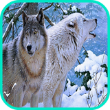 com.app3dwallpaperhd.wolfwallpaper