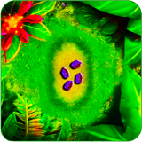 chal.peshkeli.softrun