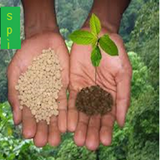 ir.mezane.estefade.az.kood.shemyaee.d