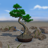 org.androidworks.livewallpaperbonsai