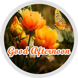 com.appscroy.stickersgoodafternoonwithflowers