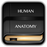 com.dictionary.arjunastudiohumananatomy