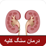 com.notarin.kidneystone