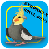 prvaresh.aroshoandiha.any1