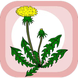 com.topdata.herbalessences