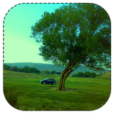 jazebe.haye.damghan.vagarmsar