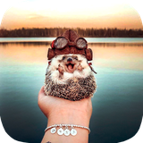 ir.tinasoft.scientific_knowledge_of_animals