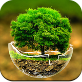 com.tree.wallpapers.treewallpaper