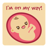 net.s.n.d.d.barda.ri