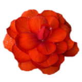 com.kordia.drow_name