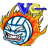 com.vahid.volleyballcounter