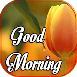 com.svilopo.goodmorning