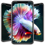 com.andromo.dev623844.app751881