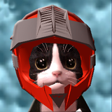 com.akrasoft.catsimulator