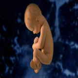 aaaa.afarineshe.ensann