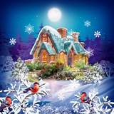 com.livewallpapers3d.winterforest