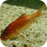 air.com.yudu.ReaderAIR4366504