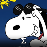 com.enigma.toons.the_snoopy_show