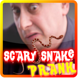 com.clicpile.prank.snake