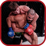 ir.tinasoft.mma_fighting