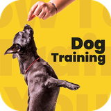 com.doginfo.dogclicker.dogtraining