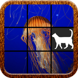 com.FatCat.SeaWorldPuzzle