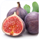 bodo.anjirvakhavasean