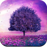 com.beautifulwallpaperhd.beautifulpictures.naturescenerywallpaper.springimage