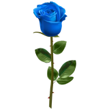 com.appstickers.rosesstickers