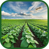 ir.tinasoft.oloom5_AA