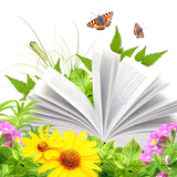 ir.jeography.mohajeri