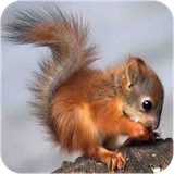 mr.vijegihayjanevaran