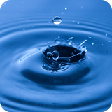 com.uvarov.soundsofnature