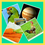 com.isletdevelopers.picquiz