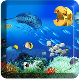 com.hdwallaper.seabedworldwallpaper