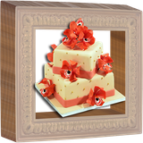 com.digigene.birthalbumfree