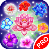 com.blueskyhugoteam.flowerblast