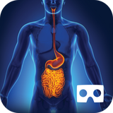 com.azamoka.inbody_vr