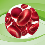 ir.alimoradian.kamkhoni