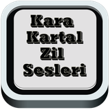 com.ert.karakartal