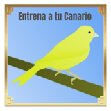 com.MediaStudioRadioFM.EntrenaatuCanarioMejoresCantosdelCanario