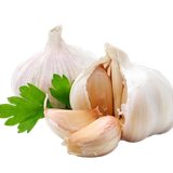 com.crisoleo.healthbenefitsofgarlic