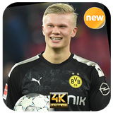 com.EndangArt.Haaland_Wallpaper