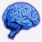 appinventor.ai_NIHSSapp.NIHStrokeScale3