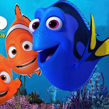 com.video.mortezaT305